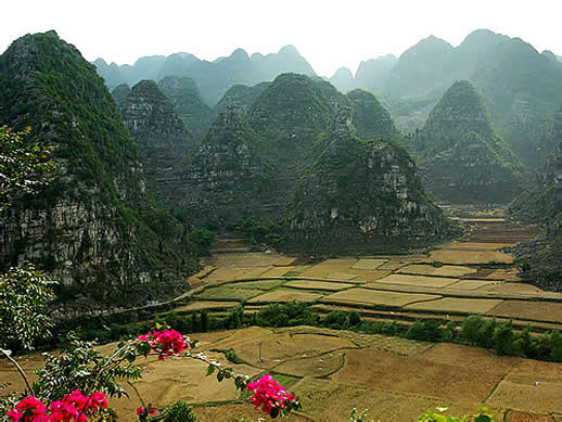 �������Y